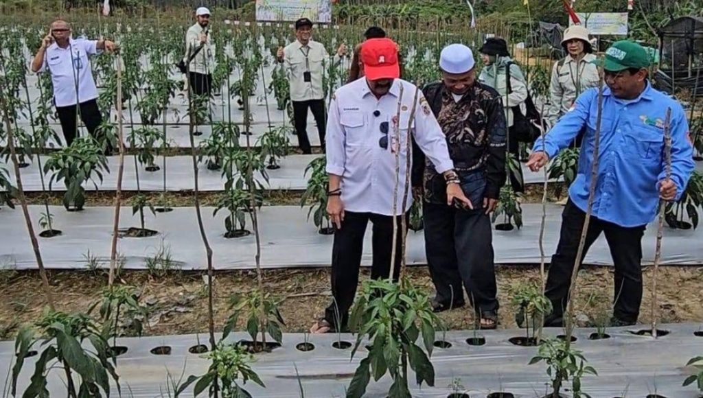 Gerakan Tanam Jadi Jurus Kalsel Tahan Inflasi Pangan