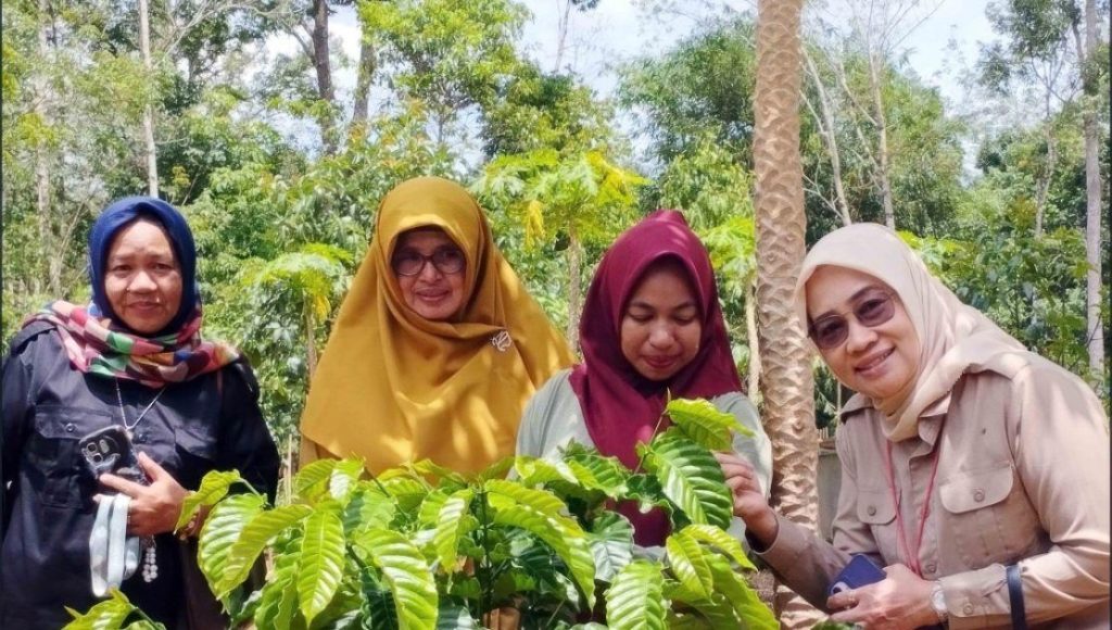 Kalsel Perkuat Kopi Rakyat lewat Diversifikasi Terintegrasi