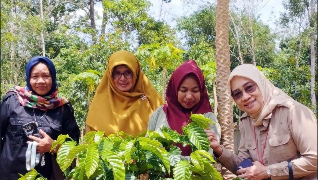 Kalsel Perkuat Kopi Rakyat lewat Diversifikasi Terintegrasi