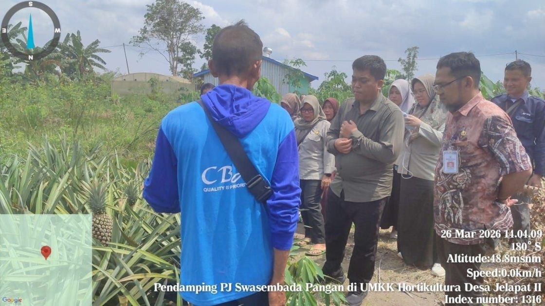 Direktur Kementan Tinjau LTT Padi Batola