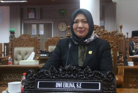 Dwi Erlina Ajak Pemudik Berkendara Lebih Aman