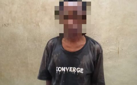 Aksi Cabul di Pondok Sepi Berakhir di Tahanan