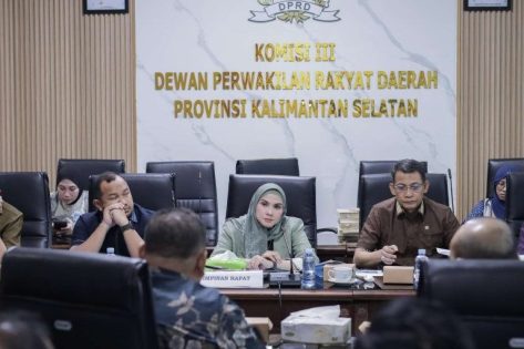 DPRD Kalsel Kawal Pemulihan Listrik Demi Masyarakat