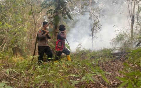 Gerak Cepat Bhabinkamtibmas Padamkan Karhutla di Desa Dayu