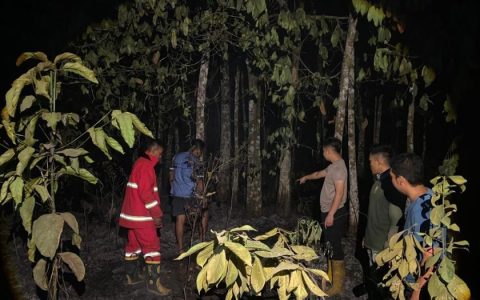 Kebakaran Lahan 4 Hektare Melanda Baruyan, Tim Gabungan Bergerak