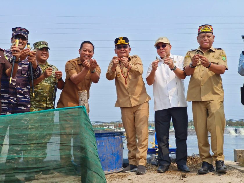 Gubernur Agustiar Sabran Tinjau Tambak Udang Vaname di Sukamara